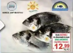 CTS Supermercati Orate nazionali offerta