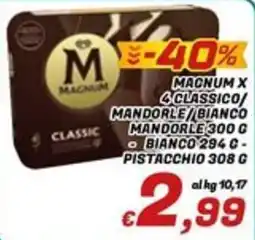 Idromarket Magnum classic offerta