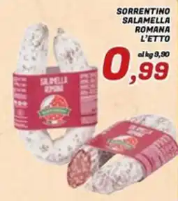 Idromarket Sorrentino Salamella Romana offerta
