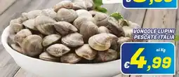 Idromarket Vongole lupini offerta