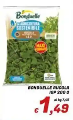 Idromarket Bonduelle rucola offerta
