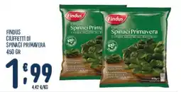 Gruppo Pascar Findus Spinaci Primavera offerta