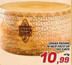 Idromarket Grana Padano offerta