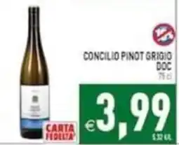 Iperfamily Concilio Pinot Grigio DOC offerta