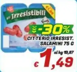 Idromarket Citterio Irresist. Salamini offerta
