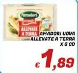 Idromarket Amadori uova allevate a terra offerta