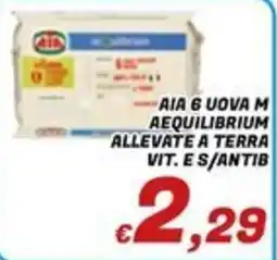 Idromarket Aia 6 uova m aequilibrium offerta