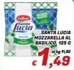 Idromarket Santa Lucia Mozzarella al basilico offerta