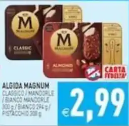 Iperfamily Algida Magnum offerta