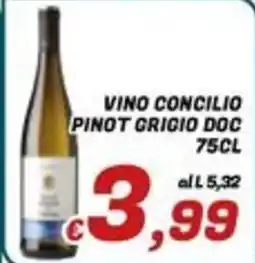 Idromarket Vino Concilio Pinot Grigio DOC offerta
