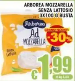 Sacoph Arborea Ad Mozzarella senza lattosio offerta