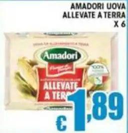 Sacoph Uova allevate a terra Amadori offerta