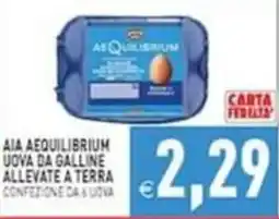 Iperfamily Uova da galline allevate a terra AIA Aequilibrium offerta