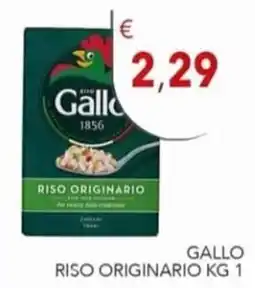 Diper Gallo Riso Originario offerta
