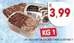 Diper Vaschetta gelato vari gusti offerta
