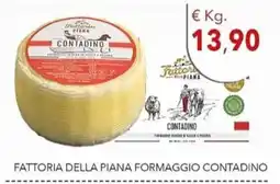 Diper Fattoria della Piana Formaggio Contadino offerta