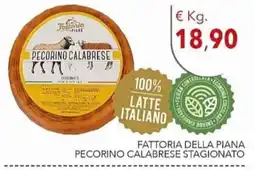 Diper Fattoria della Piana Pecorino Calabrese Stagionato offerta