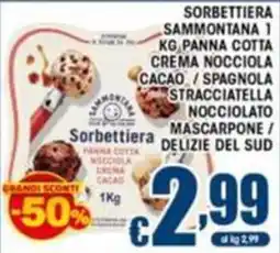 Sacoph Sorbettiera Sammontana offerta