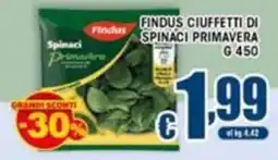 Sacoph Findus Ciuffetti di Spinaci Primavera offerta