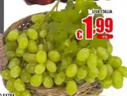Sacoph Uva Italia offerta