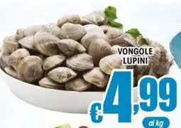 Sacoph Vongole lupini offerta