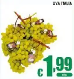 Sacoph Uva Italia offerta