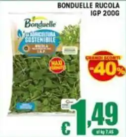 Sacoph Bonduelle rucola offerta