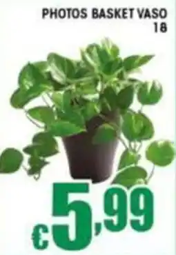 Sacoph Photos basket vaso offerta