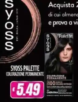 Vitulano Drugstore Syoss Palette Colorazione Permanente offerta