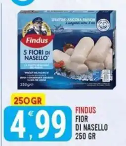 Tutto Buono Findus Fior di Nasello offerta