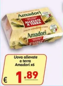 Ipercarni Uova allevate a terra Amadori offerta