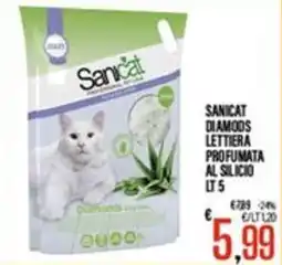 Supermercati EffePiù Sanicat lettiera profumata al silicio offerta