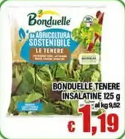 Top Supermercati Bonduelle tenere insalatine offerta