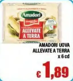 Top Supermercati Amadori uova allevate a terra offerta