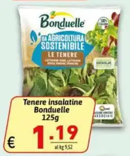 Ipercarni Tenere insalatine Bonduelle offerta