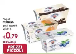 Futura Supermercati Yogurt VIPITENO offerta