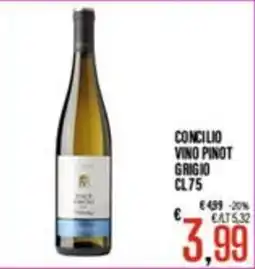 Supermercati EffePiù Concilio vino pinot grigio offerta