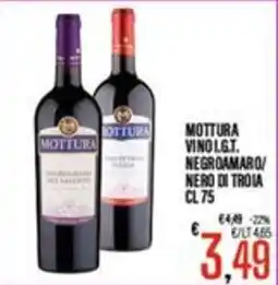 Supermercati EffePiù Mottura vino lgt. negromaro/nero di troia offerta