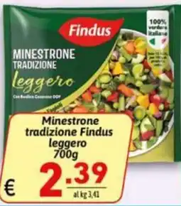 Ipercarni Minestrone tradizione Findus leggero offerta