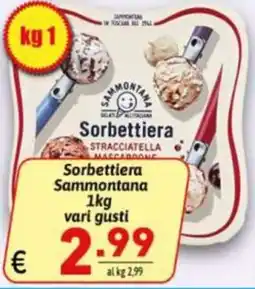 Ipercarni Sorbettiera Sammontana offerta