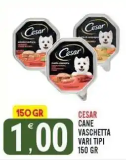 Tutto Buono Cesar cane vaschetta offerta