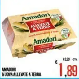 Supermercati EffePiù Amadori 6 uova allevate a terra offerta