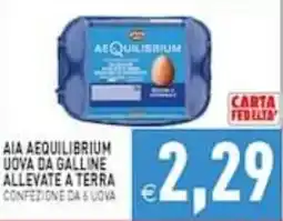 Supermercati Agorà Aia Aequilibrium uova da galline allevate a terra offerta