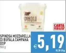 Supermercati Agorà Spinosa mozzarella di bufala campana dop offerta