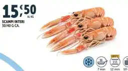 Deco Superfreddo Scampi interi offerta