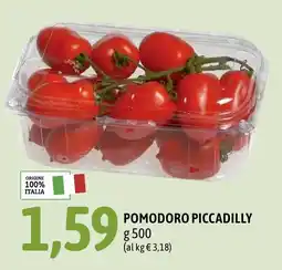 Madis Pomodoro Piccadilly offerta