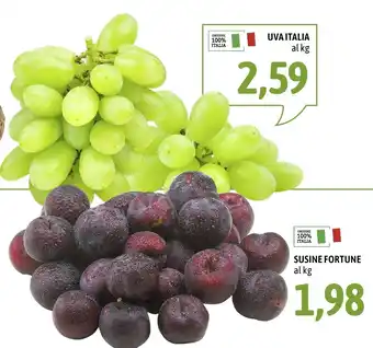 Madis Uva Italia offerta