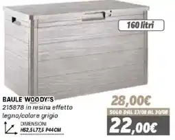 Orizzonte Baule Woody's in resina effetto legno/colore grigio offerta