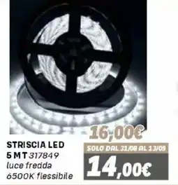 Orizzonte Striscia LED 5 MT 317849 offerta