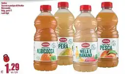 Elite Selex succo e polpa di frutta offerta